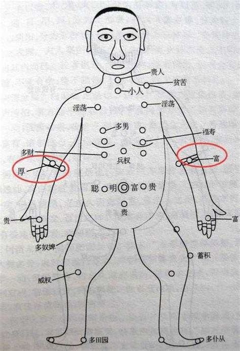 手臂上的痣代表什么|痣的位置与命运：手臂上有痣代表什么寓意